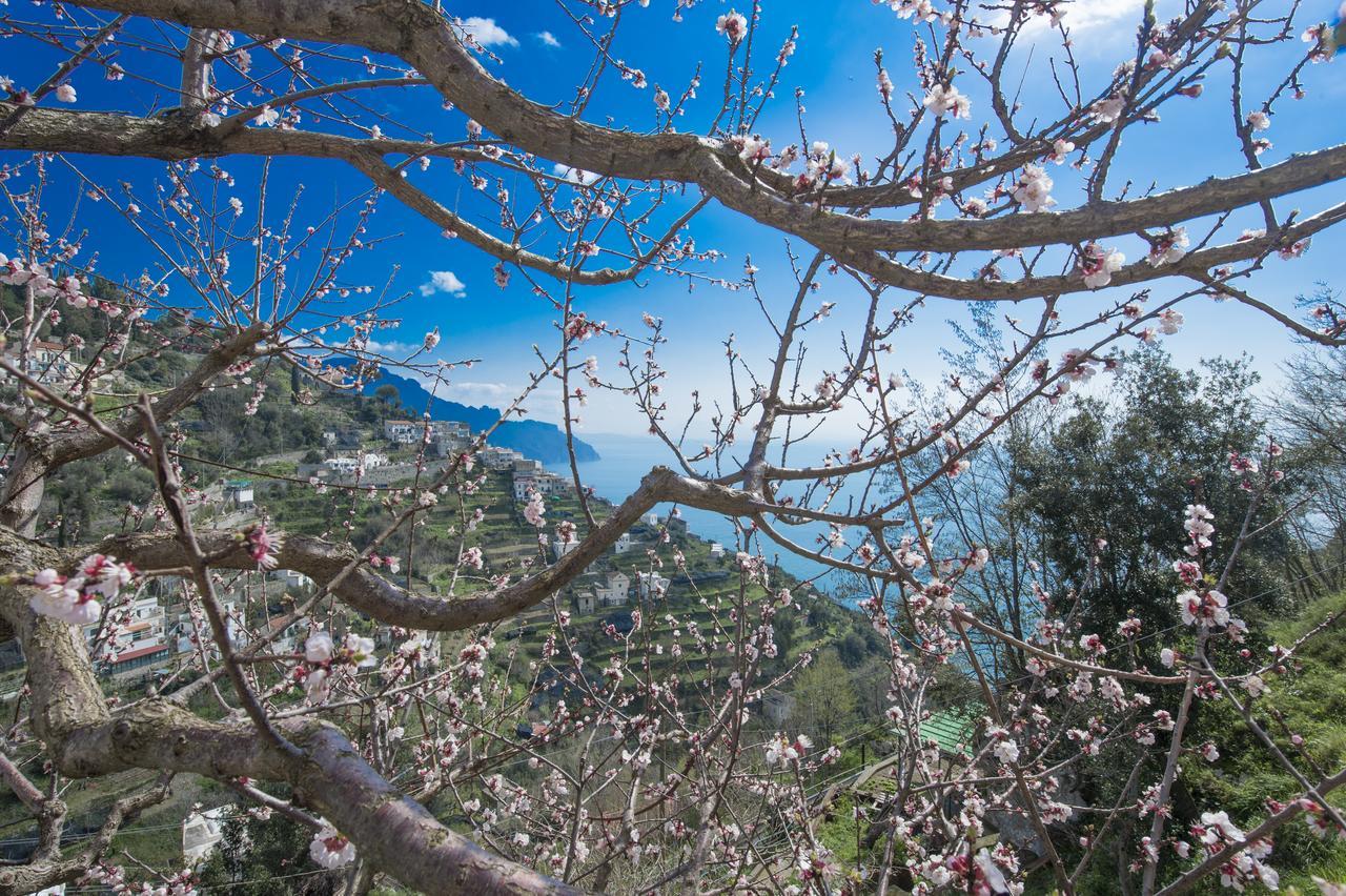 Apartamento Casa Pina Amalfi Exterior foto