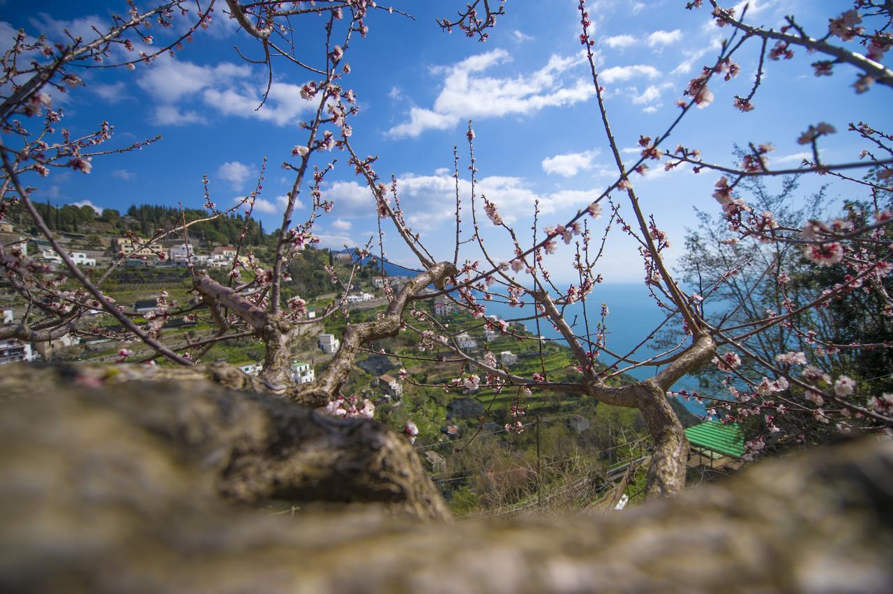 Apartamento Casa Pina Amalfi Exterior foto